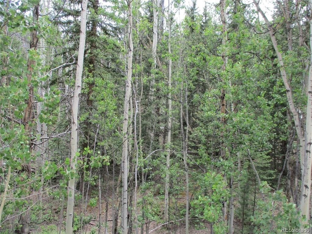 6409 Remington Road, Como, CO 80432, ,Land,For Sale,Remington,REC9129230