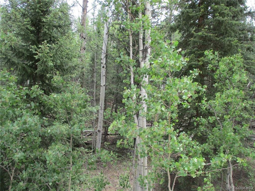 6409 Remington Road, Como, CO 80432, ,Land,For Sale,Remington,REC9129230