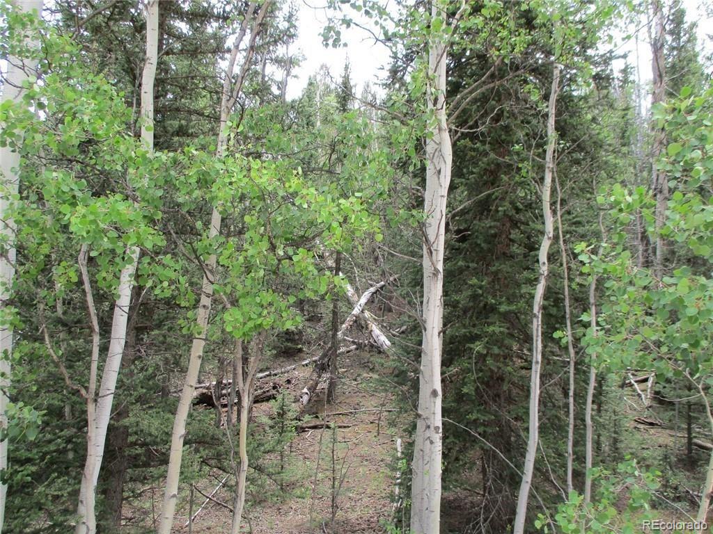 6409 Remington Road, Como, CO 80432, ,Land,For Sale,Remington,REC9129230