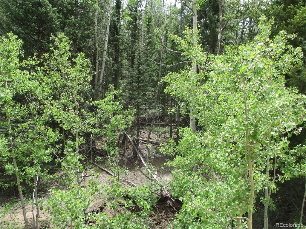 6409 Remington Road, Como, CO 80432, ,Land,For Sale,Remington,REC9129230