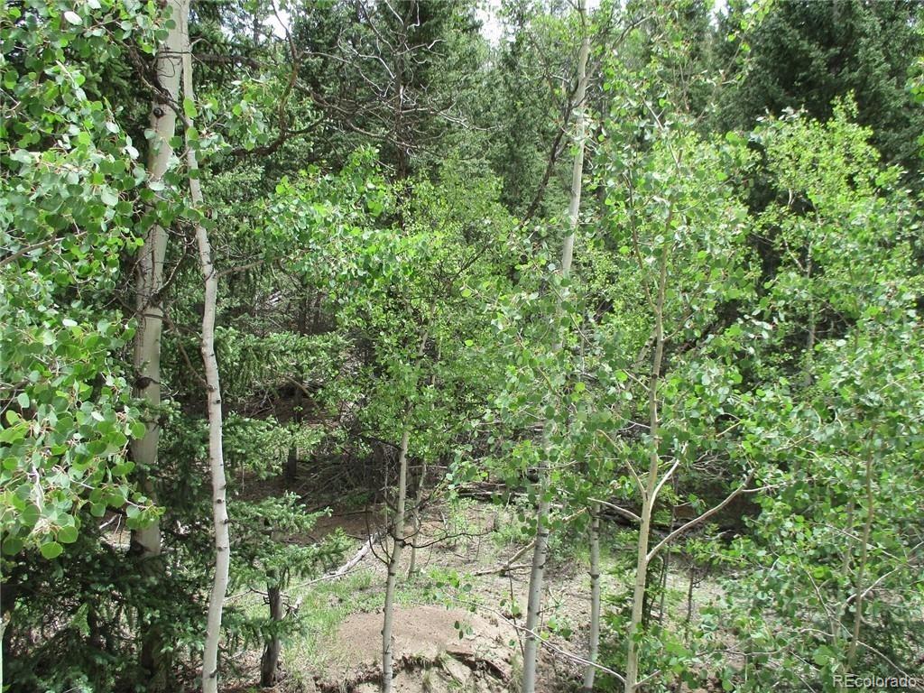 6409 Remington Road, Como, CO 80432, ,Land,For Sale,Remington,REC9129230