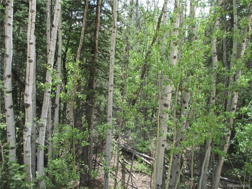 6409 Remington Road, Como, CO 80432, ,Land,For Sale,Remington,REC9129230