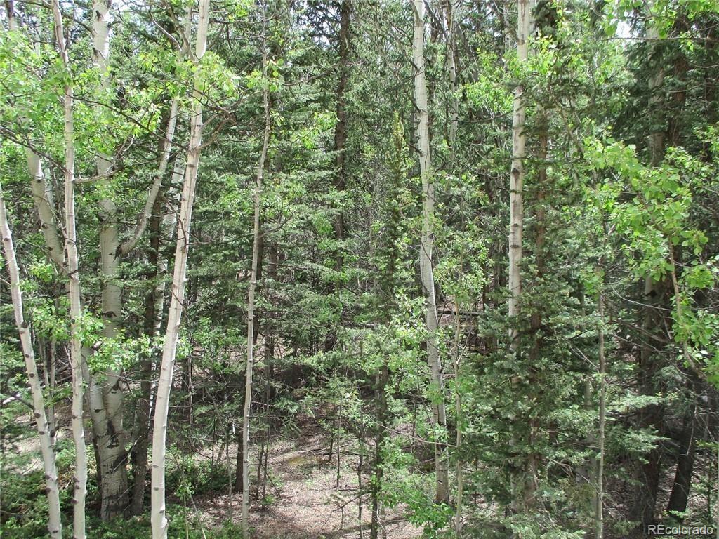 6409 Remington Road, Como, CO 80432, ,Land,For Sale,Remington,REC9129230