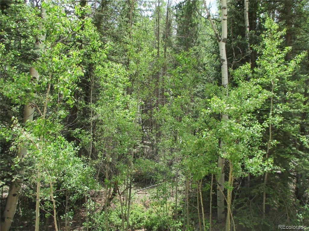 6409 Remington Road, Como, CO 80432, ,Land,For Sale,Remington,REC9129230