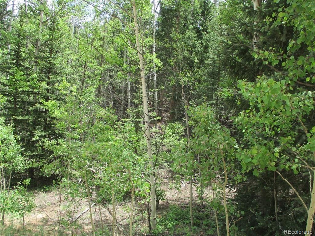 6409 Remington Road, Como, CO 80432, ,Land,For Sale,Remington,REC9129230
