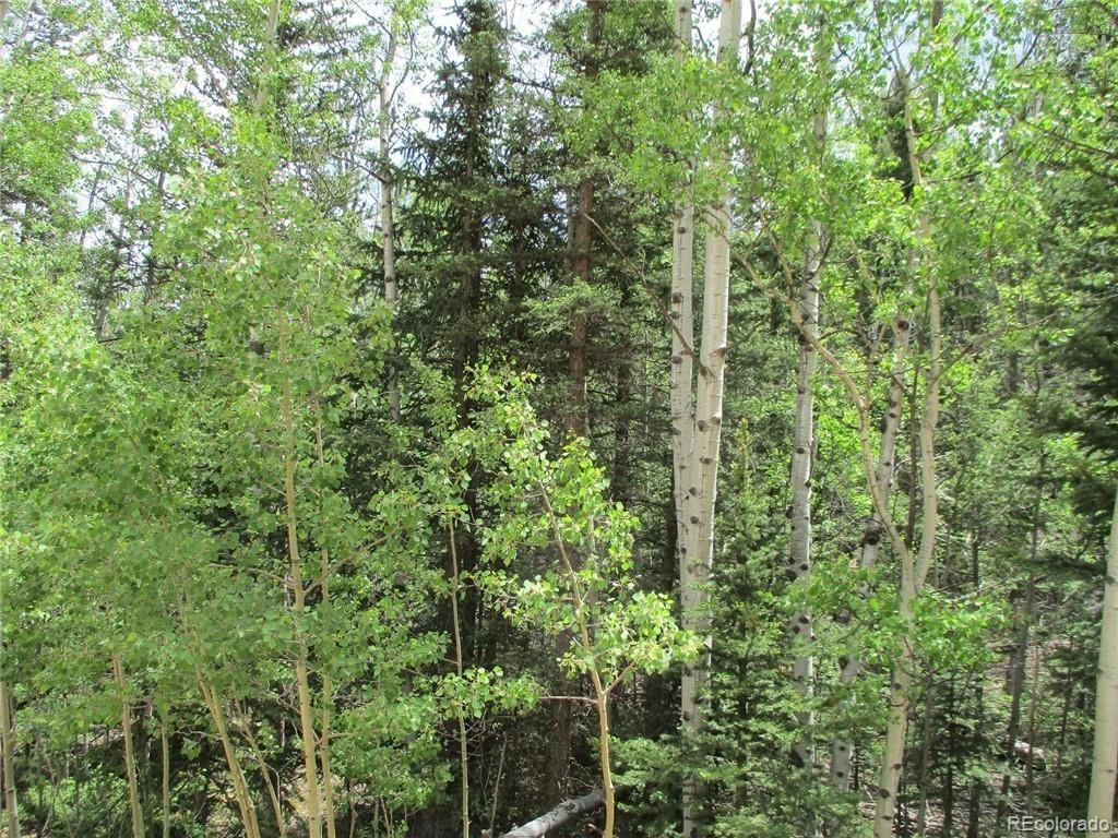 6409 Remington Road, Como, CO 80432, ,Land,For Sale,Remington,REC9129230