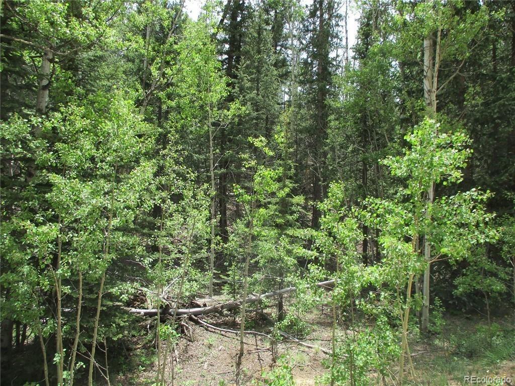 6409 Remington Road, Como, CO 80432, ,Land,For Sale,Remington,REC9129230