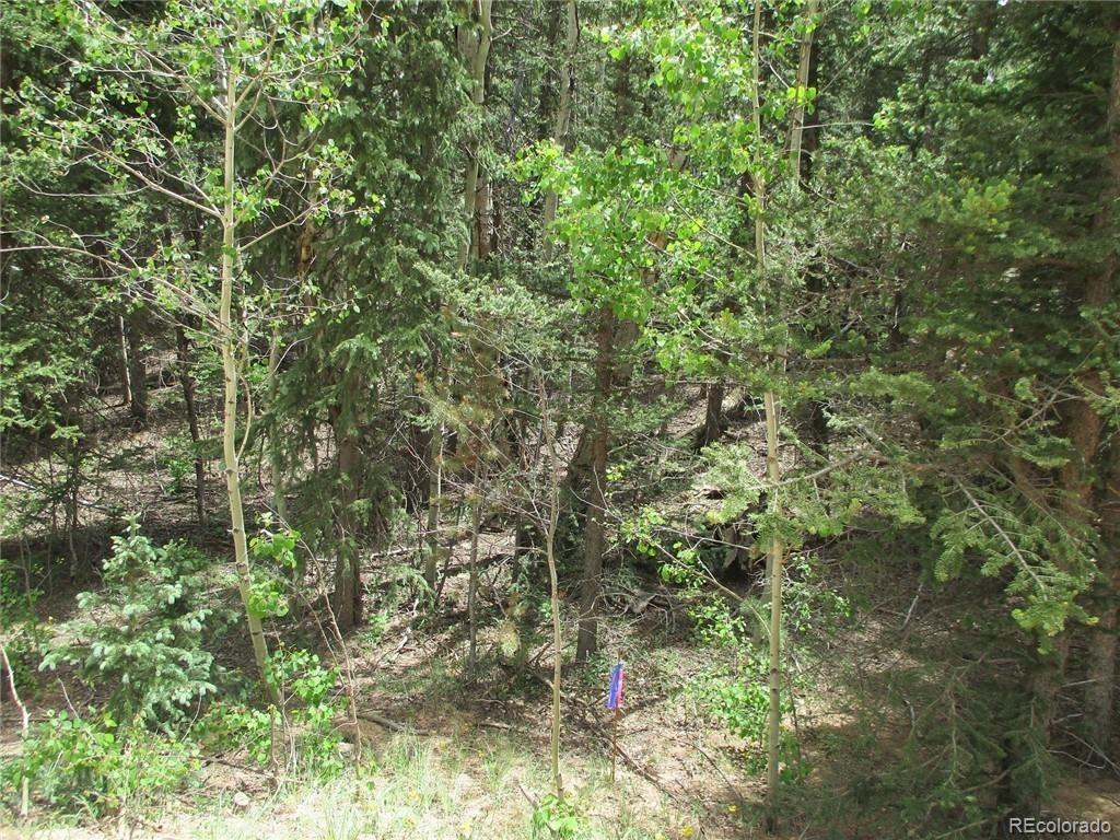 6409 Remington Road, Como, CO 80432, ,Land,For Sale,Remington,REC9129230