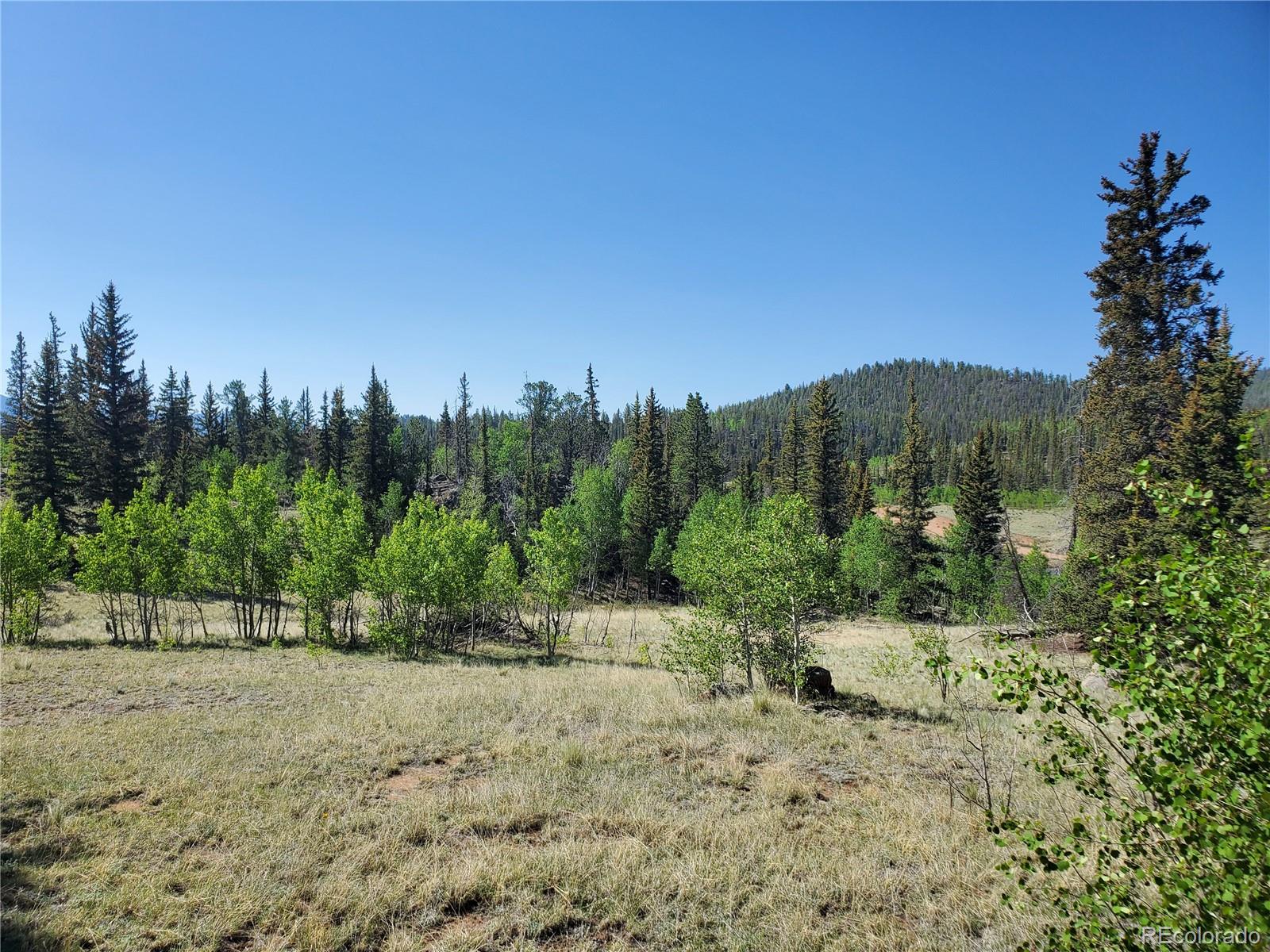150 Ambush Lane, Jefferson, CO 80456, ,Land,For Sale,Ambush,REC1630564