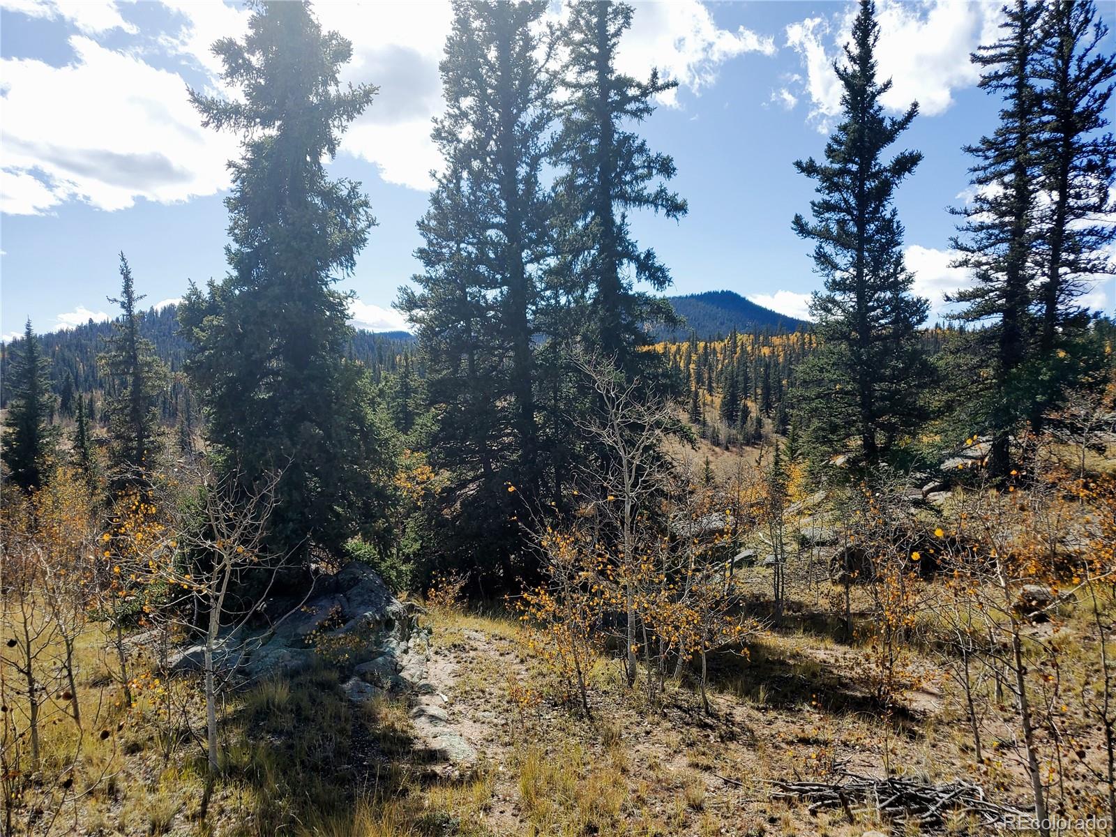 150 Ambush Lane, Jefferson, CO 80456, ,Land,For Sale,Ambush,REC1630564