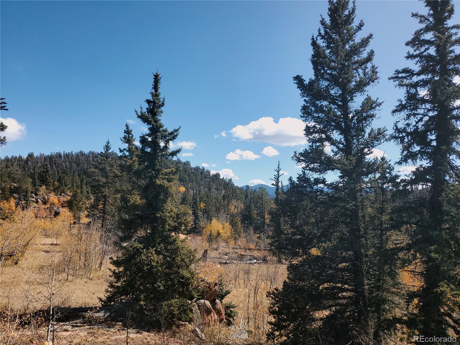 150 Ambush Lane, Jefferson, CO 80456, ,Land,For Sale,Ambush,REC1630564