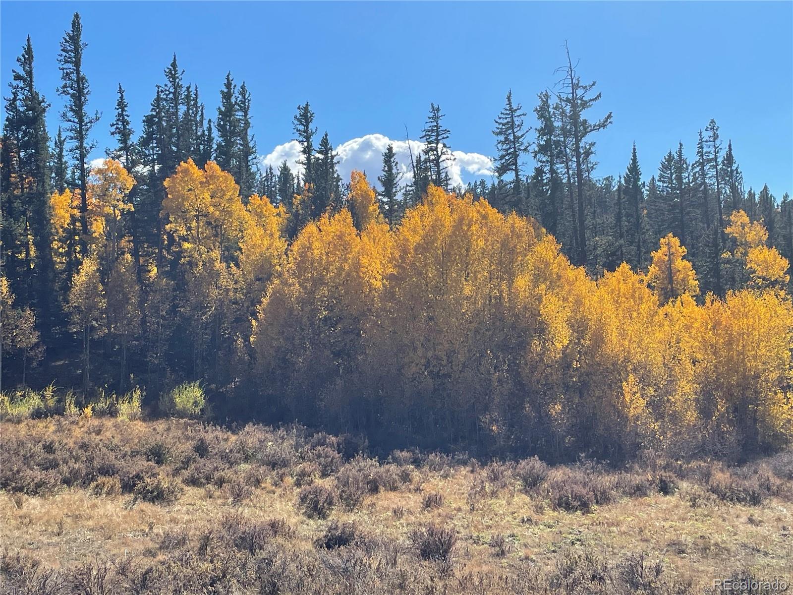 581 Longbow Drive, Como, CO 80432, ,Land,For Sale,Longbow,REC1527074