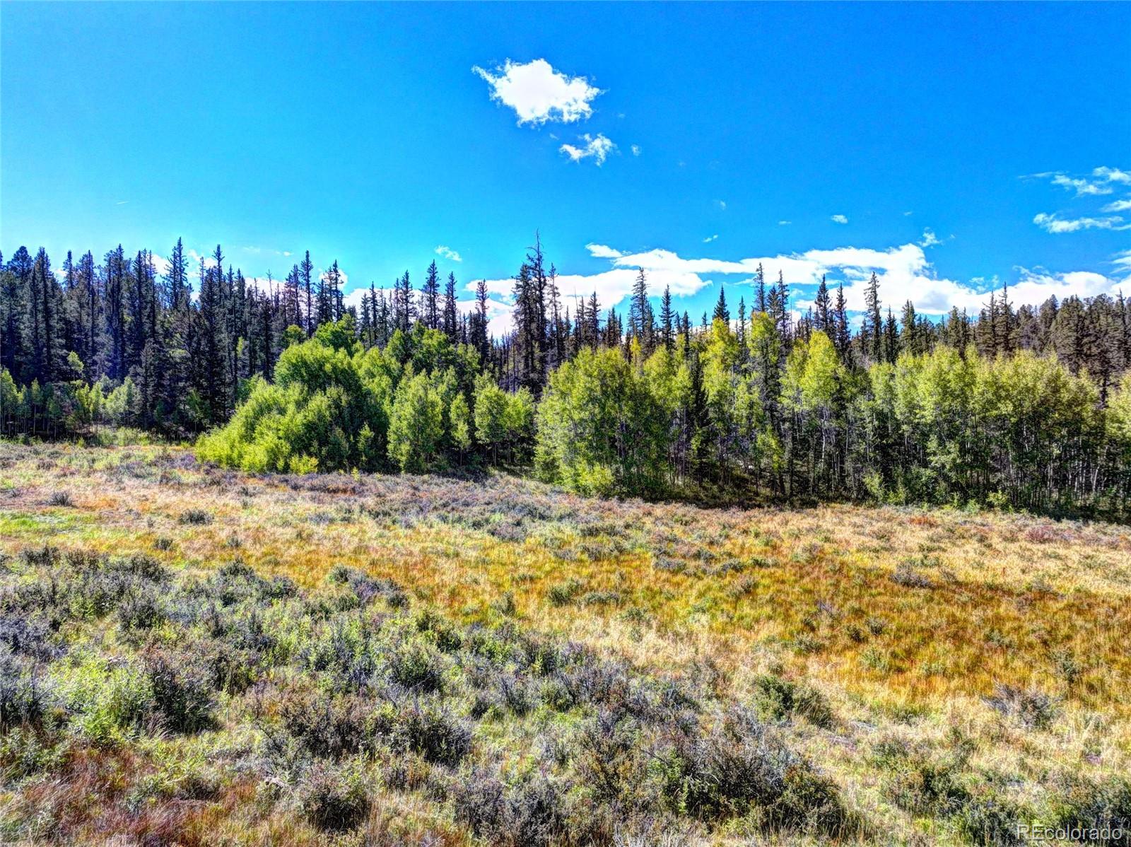 581 Longbow Drive, Como, CO 80432, ,Land,For Sale,Longbow,REC1527074