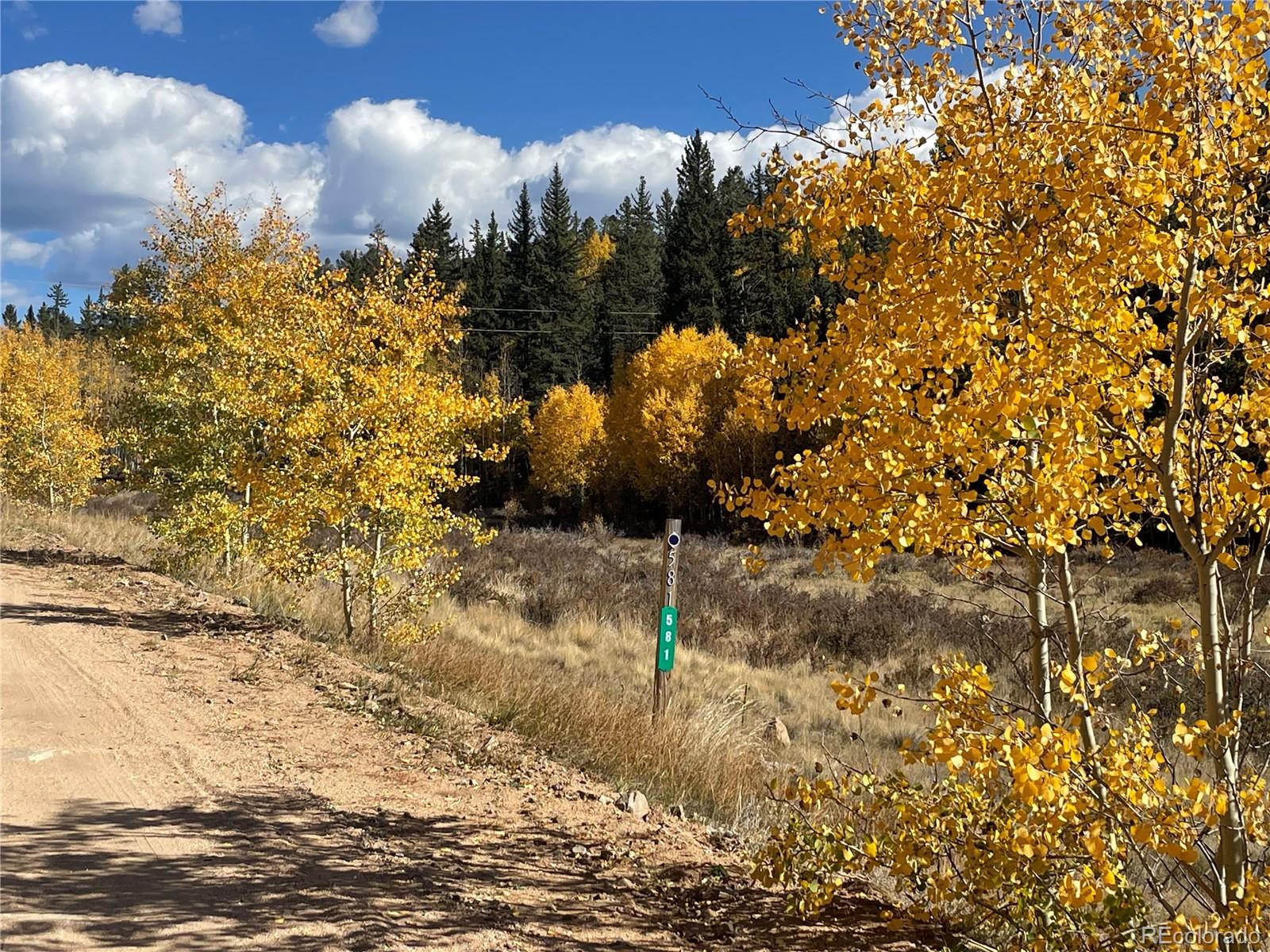 581 Longbow Drive, Como, CO 80432, ,Land,For Sale,Longbow,REC1527074