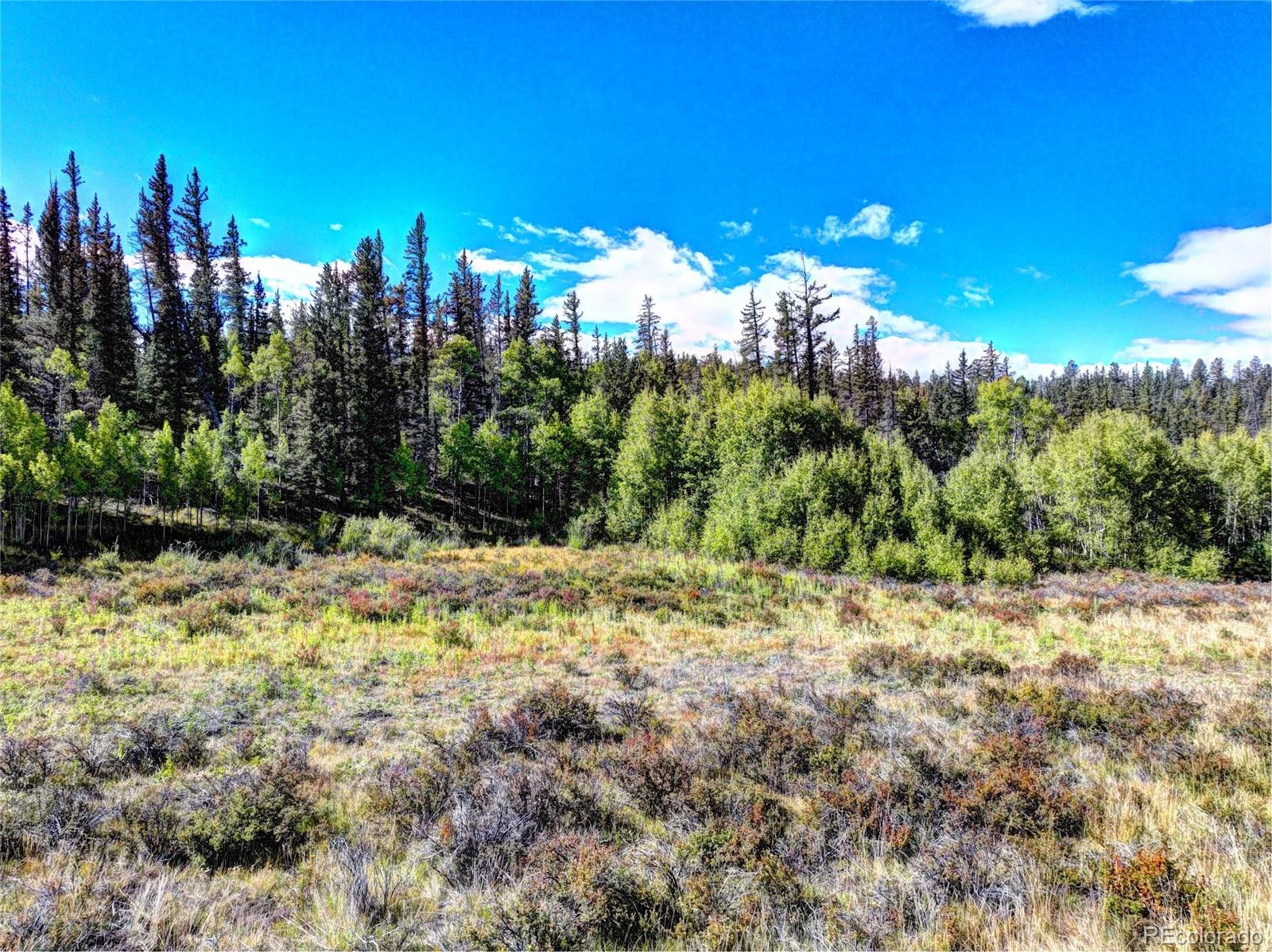 581 Longbow Drive, Como, CO 80432, ,Land,For Sale,Longbow,REC1527074