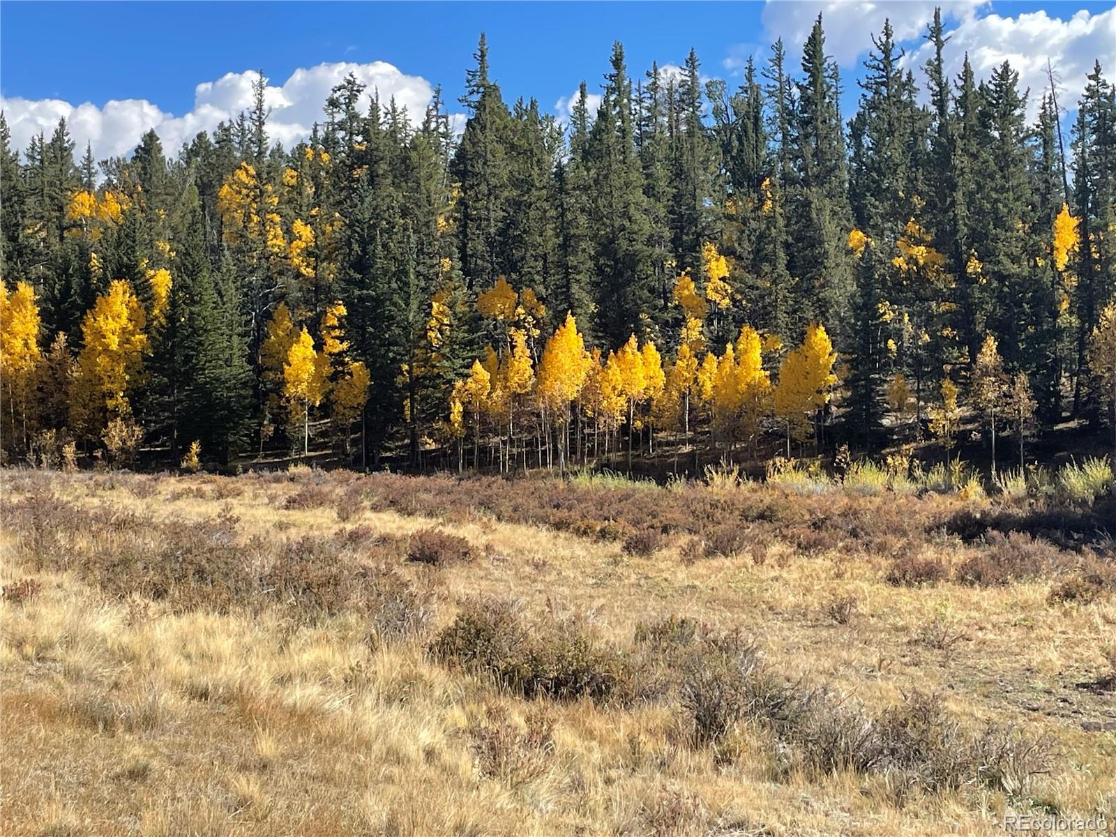 581 Longbow Drive, Como, CO 80432, ,Land,For Sale,Longbow,REC1527074