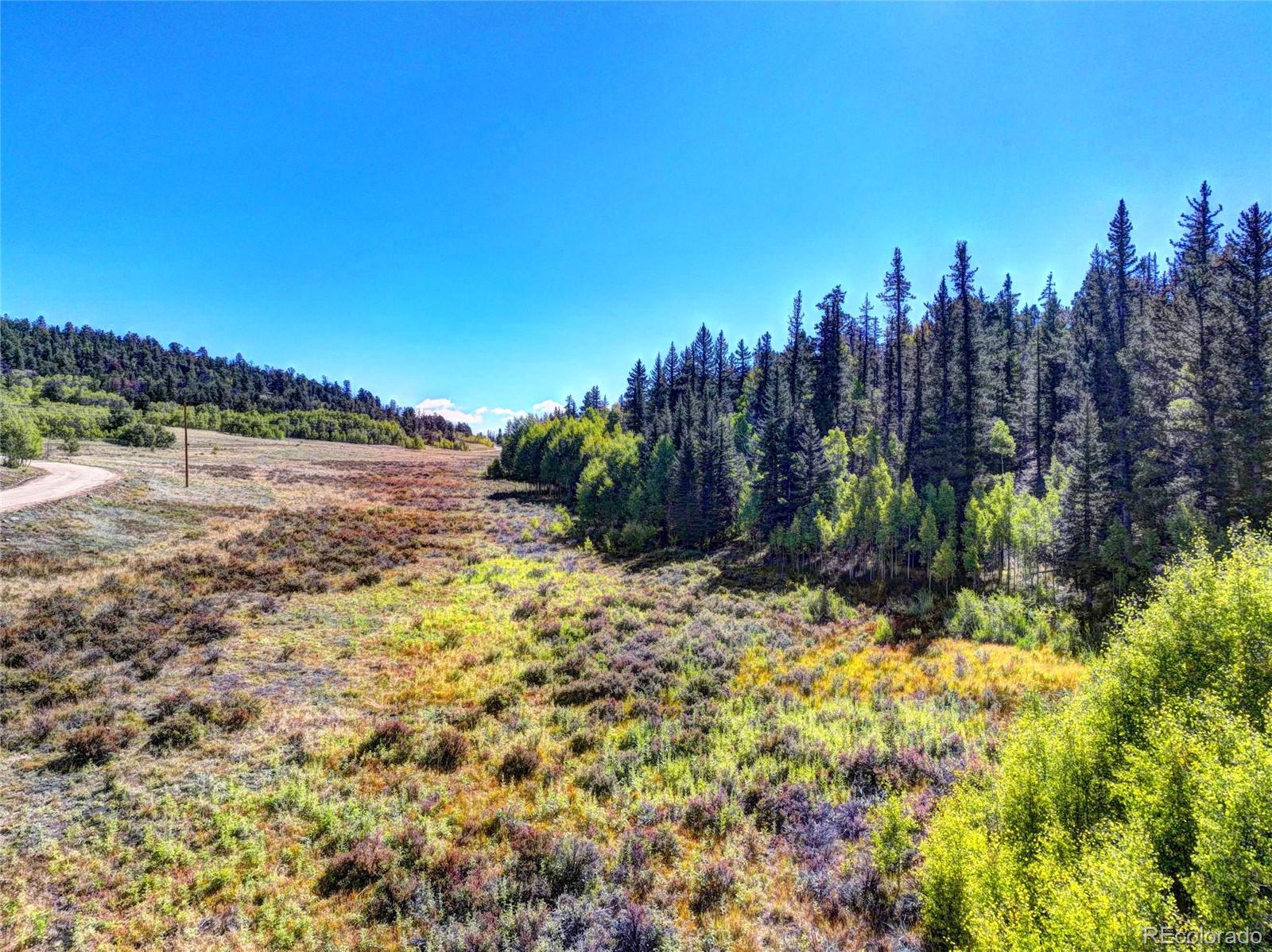 581 Longbow Drive, Como, CO 80432, ,Land,For Sale,Longbow,REC1527074