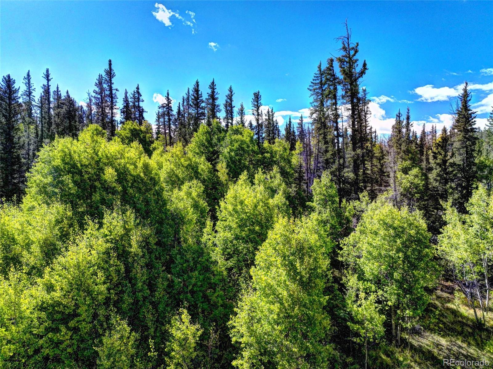 581 Longbow Drive, Como, CO 80432, ,Land,For Sale,Longbow,REC1527074