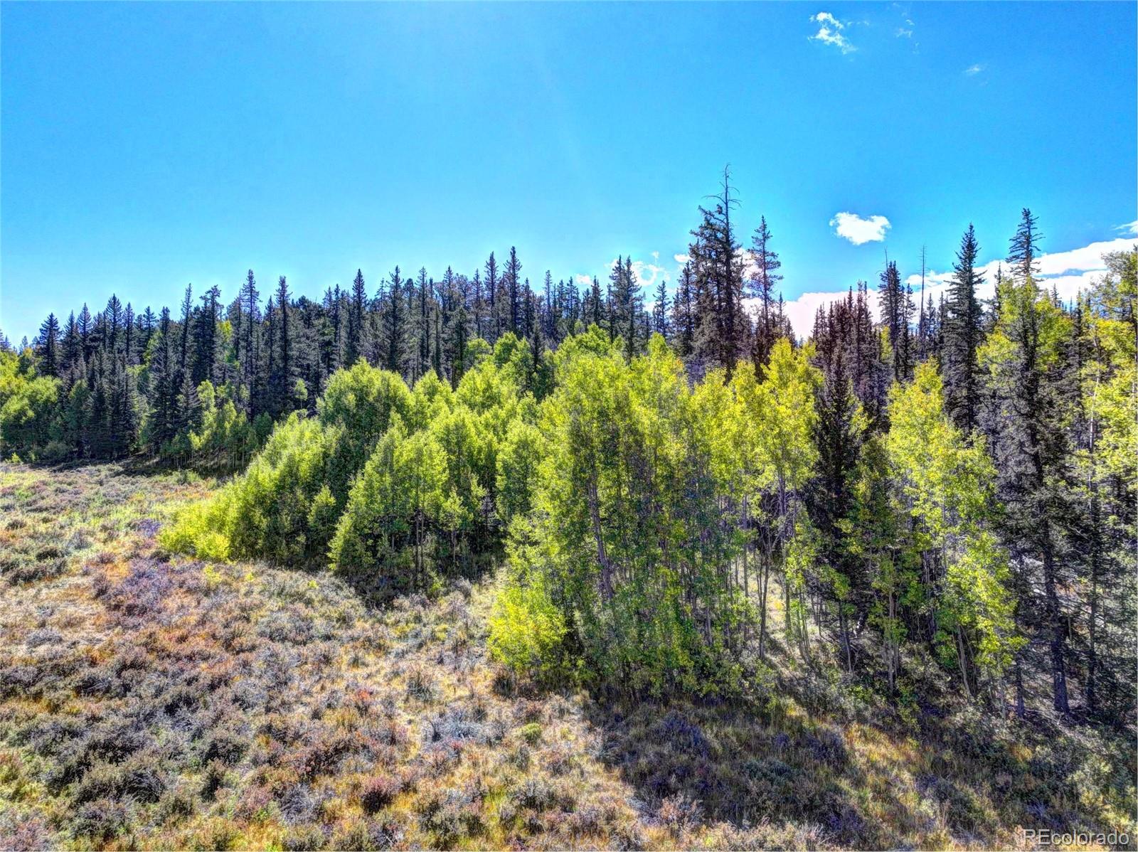 581 Longbow Drive, Como, CO 80432, ,Land,For Sale,Longbow,REC1527074