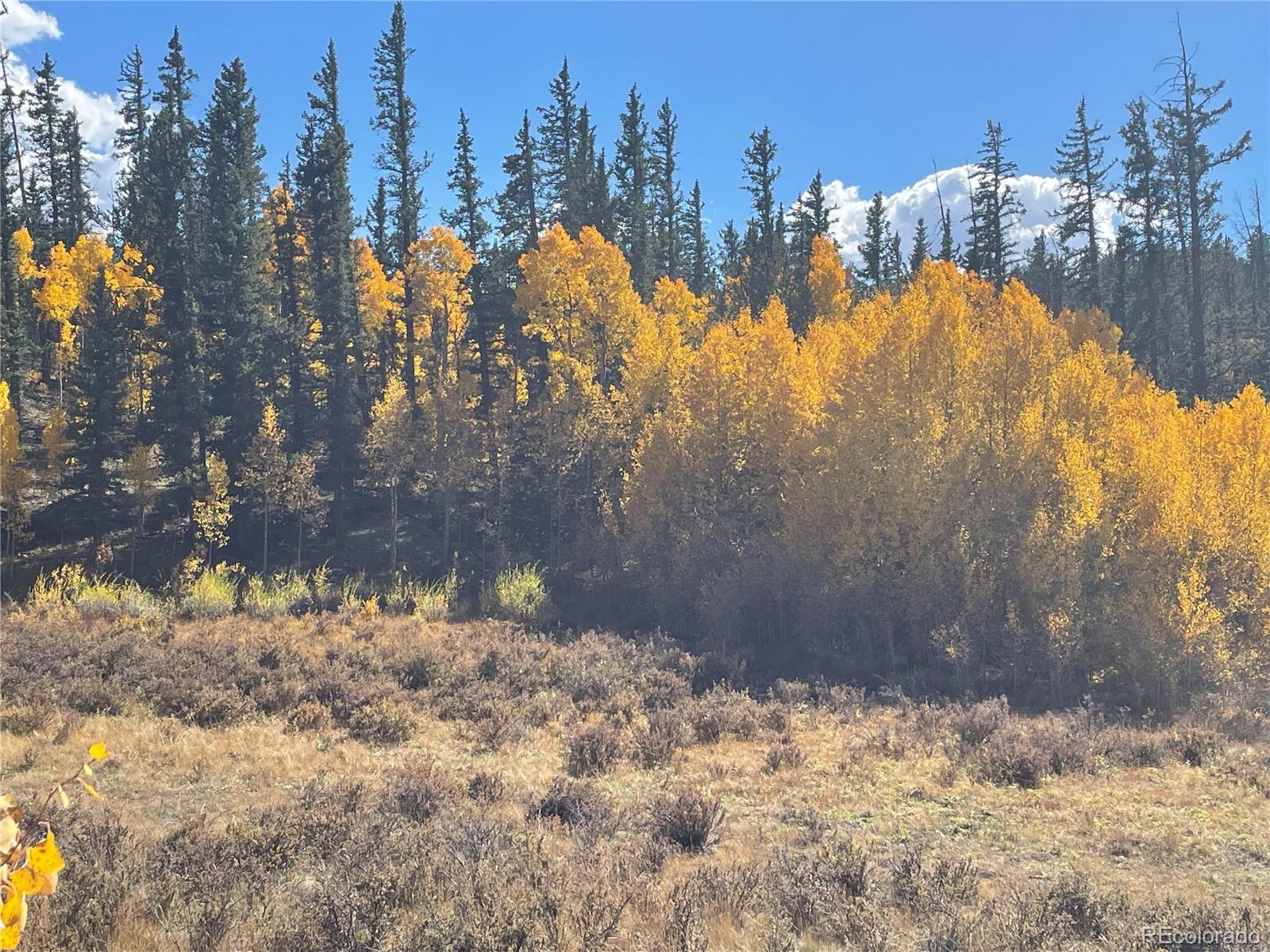 581 Longbow Drive, Como, CO 80432, ,Land,For Sale,Longbow,REC1527074