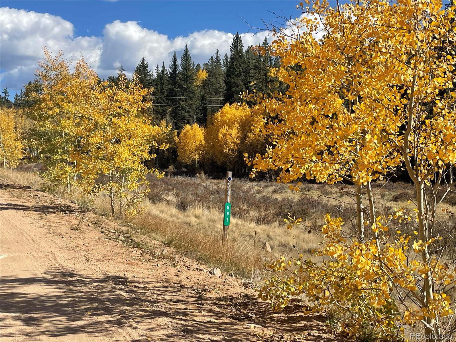 581 Longbow Drive, Como, CO 80432, ,Land,For Sale,Longbow,REC1527074