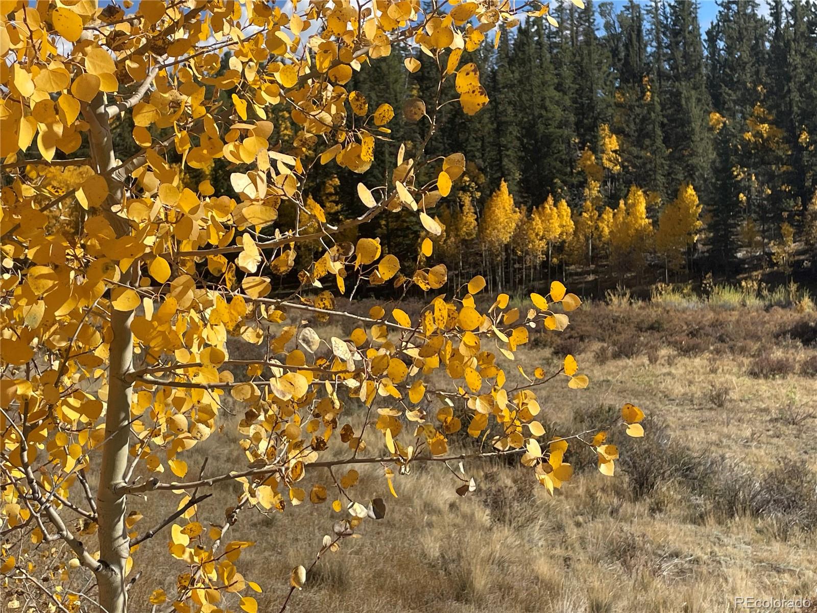 581 Longbow Drive, Como, CO 80432, ,Land,For Sale,Longbow,REC1527074