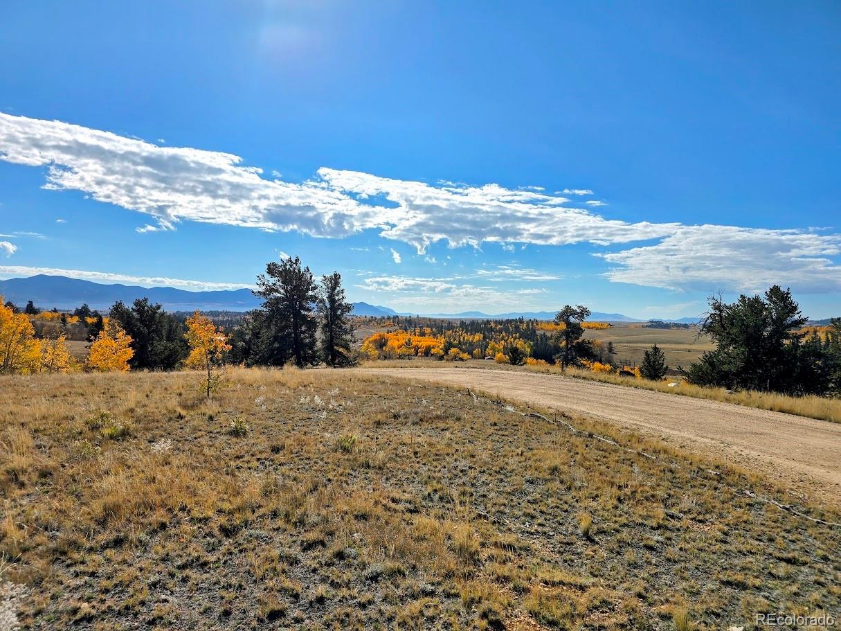 1803 Buffalo Ridge Road, Jefferson, CO 80456, ,Residential,For Sale,Buffalo Ridge,REC3898169