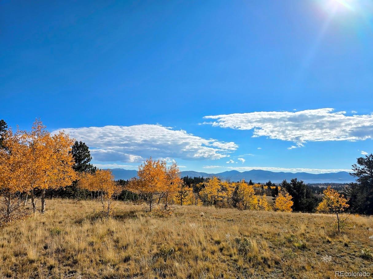 1803 Buffalo Ridge Road, Jefferson, CO 80456, ,Residential,For Sale,Buffalo Ridge,REC3898169
