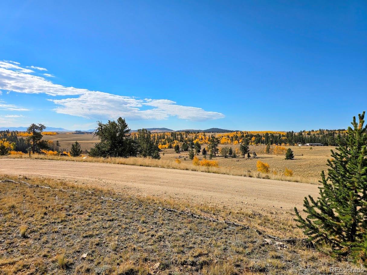 1803 Buffalo Ridge Road, Jefferson, CO 80456, ,Residential,For Sale,Buffalo Ridge,REC3898169