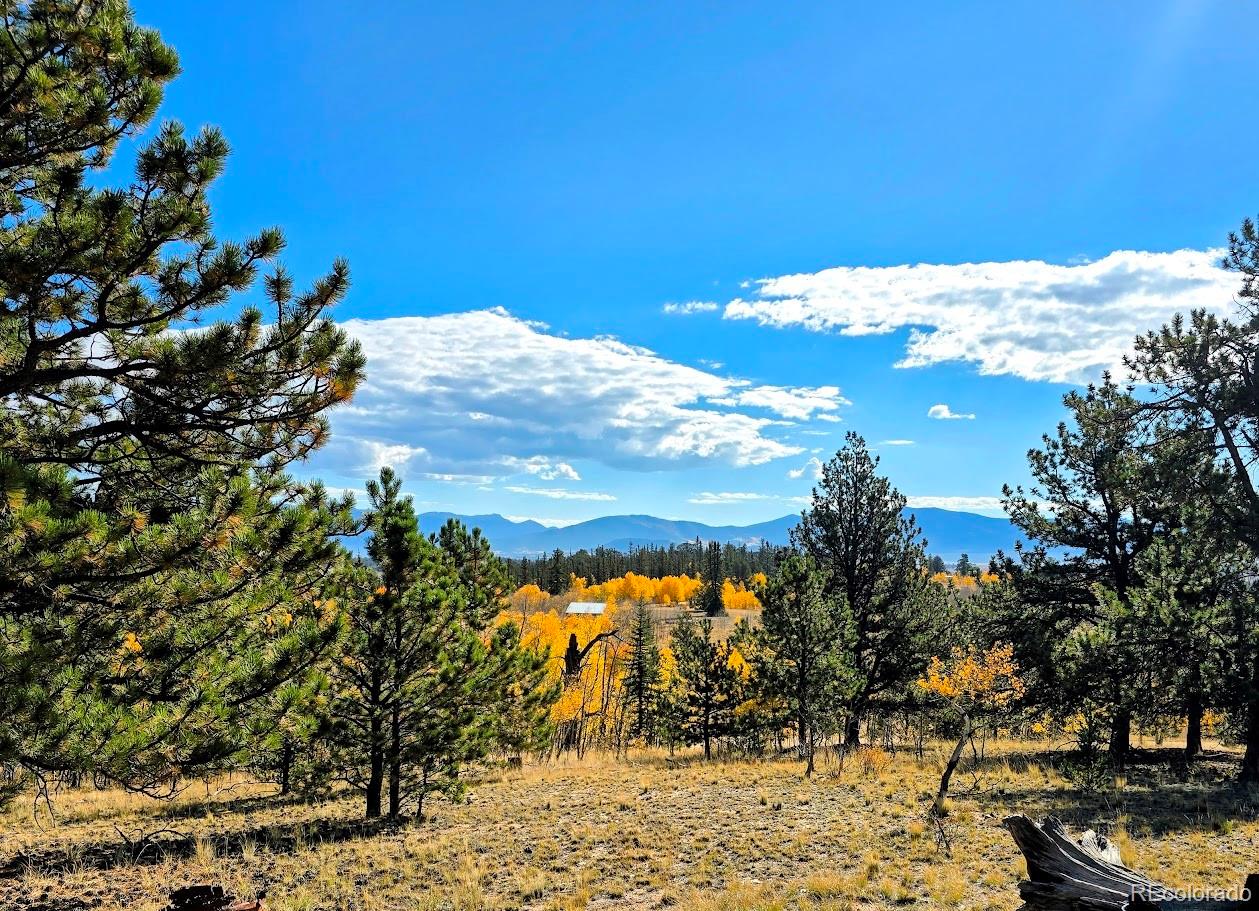 1803 Buffalo Ridge Road, Jefferson, CO 80456, ,Residential,For Sale,Buffalo Ridge,REC3898169