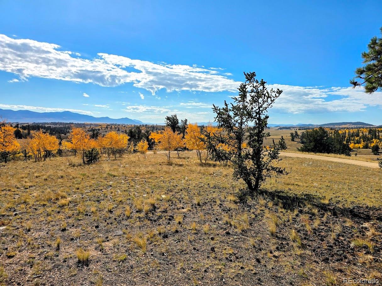 1803 Buffalo Ridge Road, Jefferson, CO 80456, ,Residential,For Sale,Buffalo Ridge,REC3898169