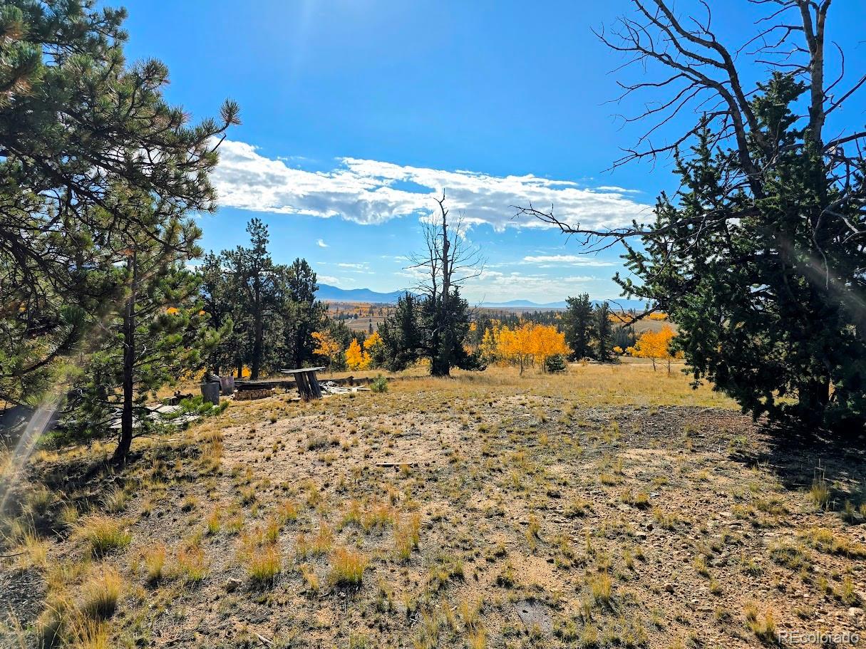 1803 Buffalo Ridge Road, Jefferson, CO 80456, ,Residential,For Sale,Buffalo Ridge,REC3898169