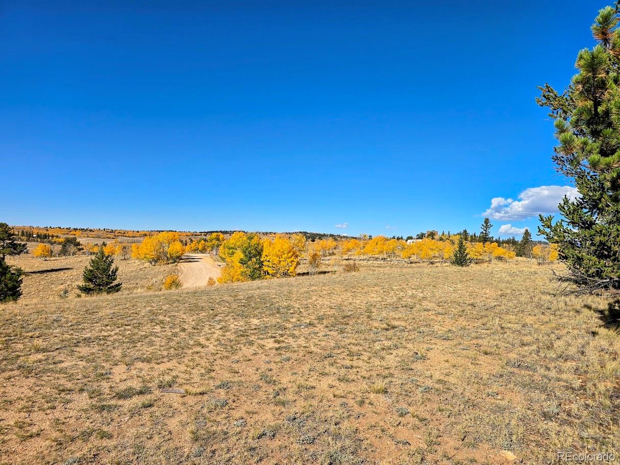 1803 Buffalo Ridge Road, Jefferson, CO 80456, ,Residential,For Sale,Buffalo Ridge,REC3898169