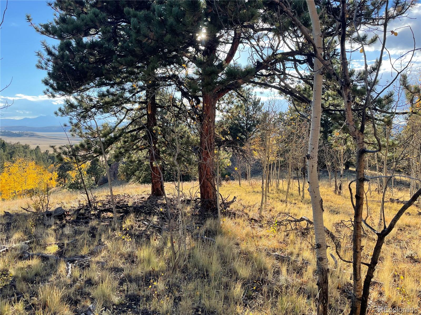 1314 Caracara Lane, Como, CO 80432, ,Land,For Sale,Caracara,REC7268221