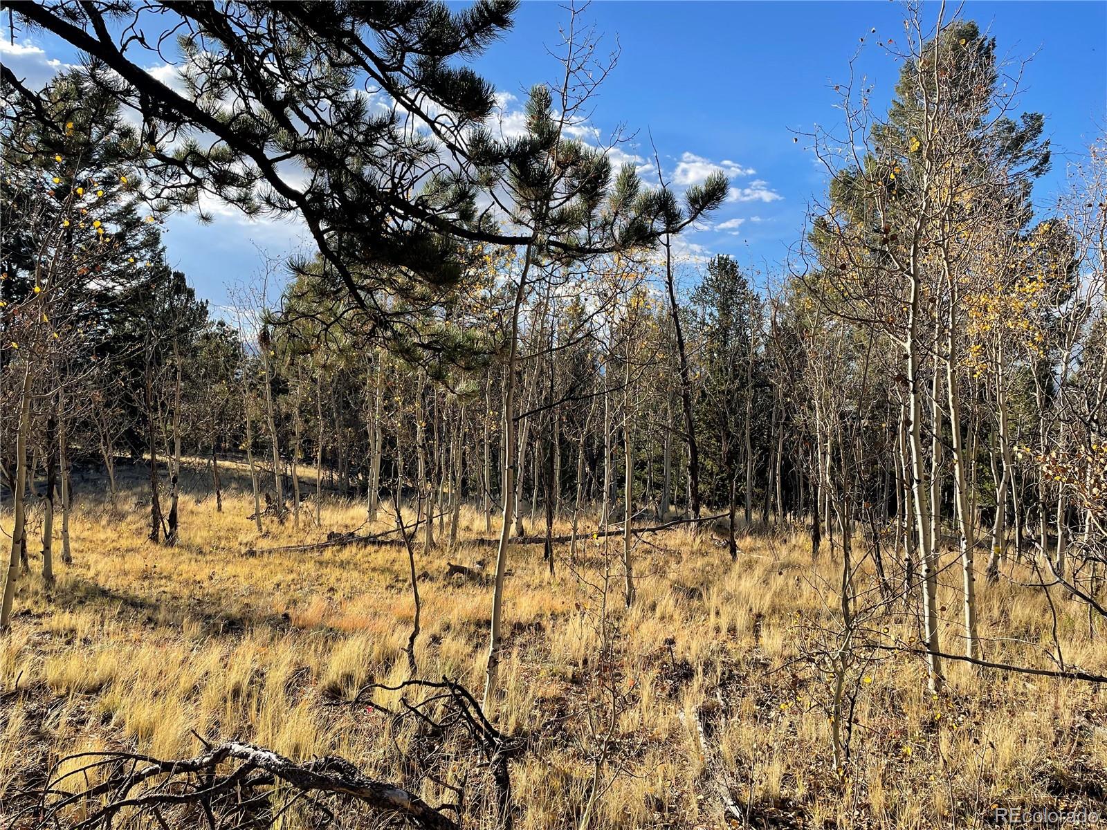 1314 Caracara Lane, Como, CO 80432, ,Land,For Sale,Caracara,REC7268221