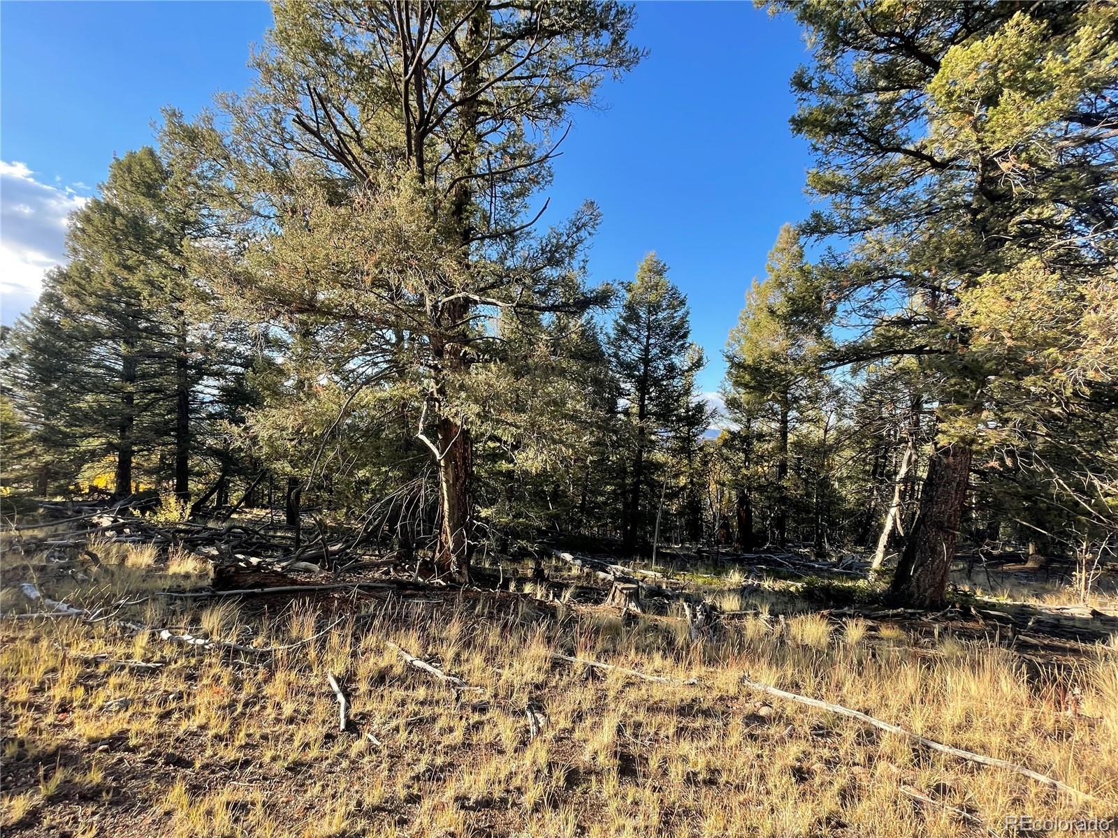 1314 Caracara Lane, Como, CO 80432, ,Land,For Sale,Caracara,REC7268221