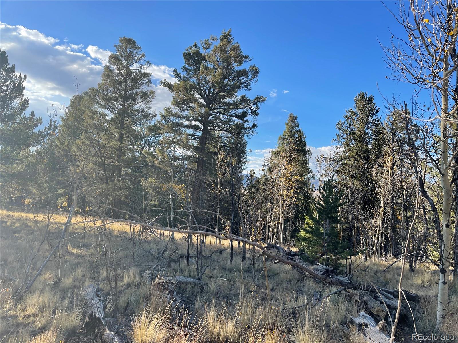 1314 Caracara Lane, Como, CO 80432, ,Land,For Sale,Caracara,REC7268221