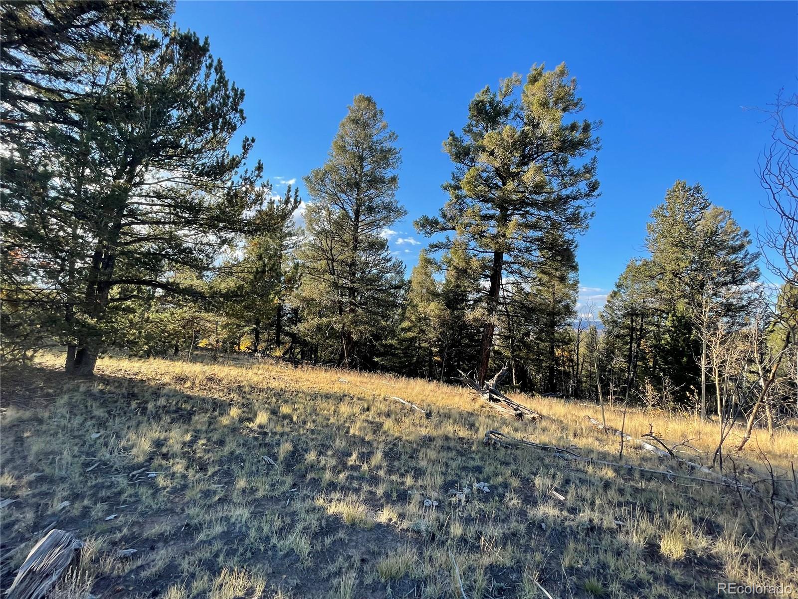 1314 Caracara Lane, Como, CO 80432, ,Land,For Sale,Caracara,REC7268221
