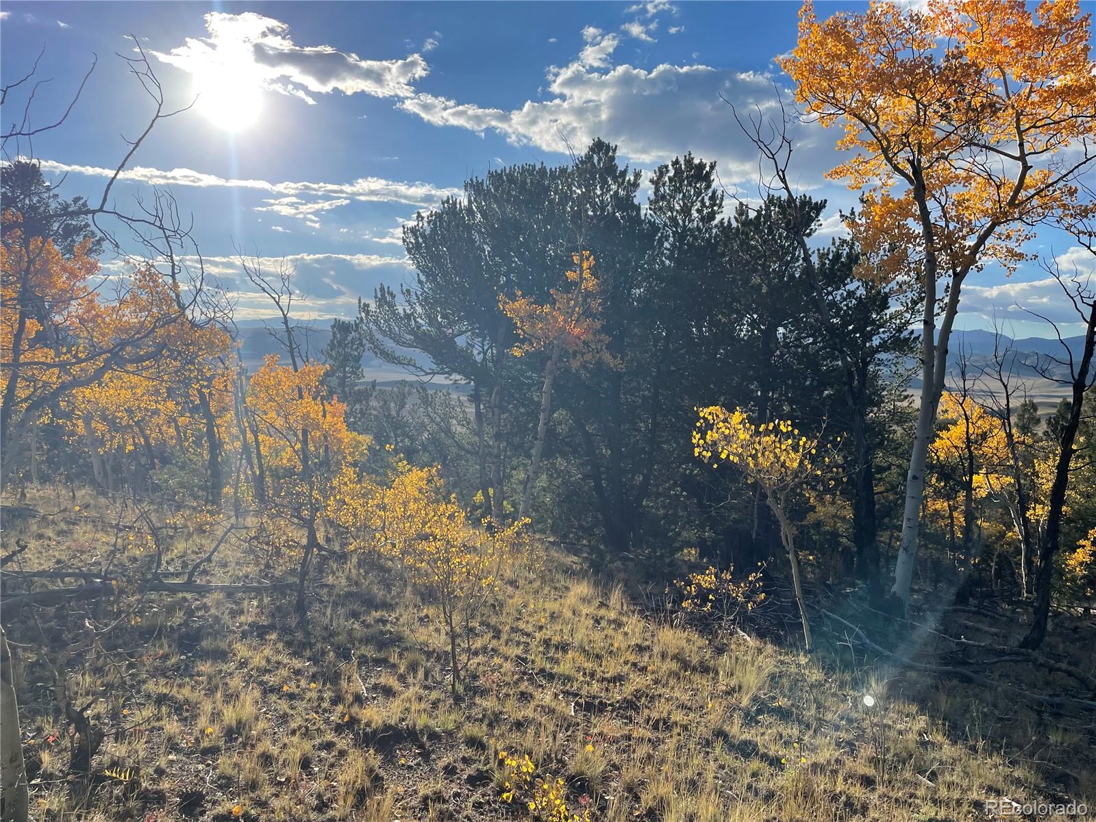 1314 Caracara Lane, Como, CO 80432, ,Land,For Sale,Caracara,REC7268221