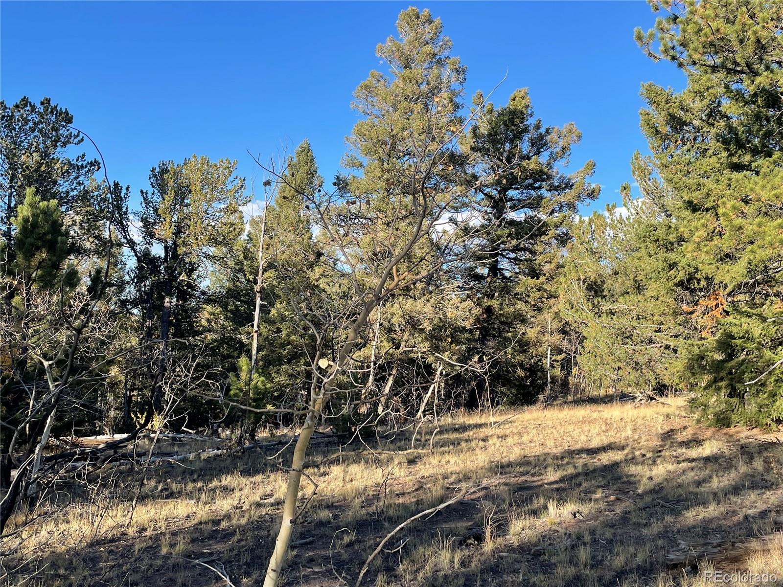 1314 Caracara Lane, Como, CO 80432, ,Land,For Sale,Caracara,REC7268221