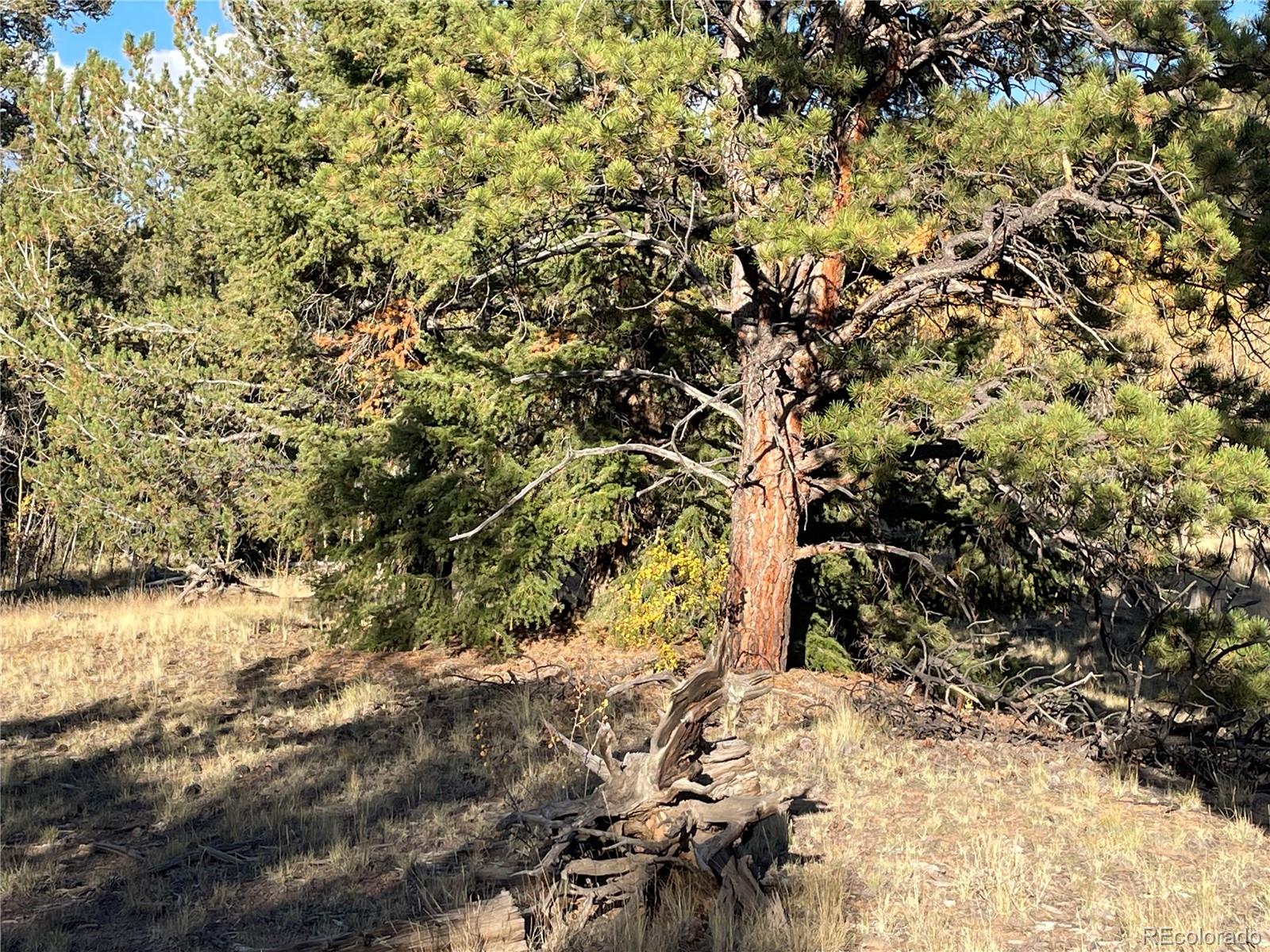 1314 Caracara Lane, Como, CO 80432, ,Land,For Sale,Caracara,REC7268221