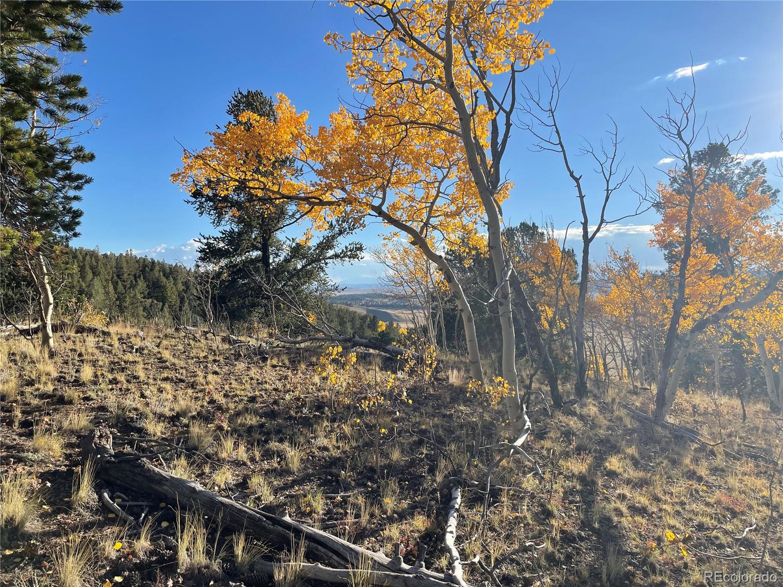 1314 Caracara Lane, Como, CO 80432, ,Land,For Sale,Caracara,REC7268221