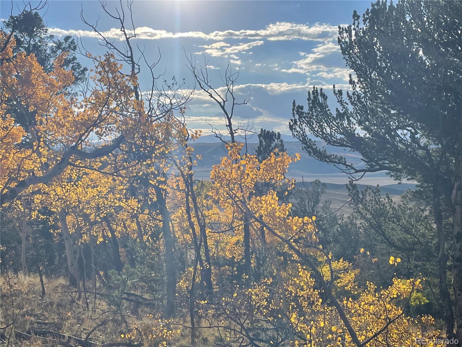 1314 Caracara Lane, Como, CO 80432, ,Land,For Sale,Caracara,REC7268221