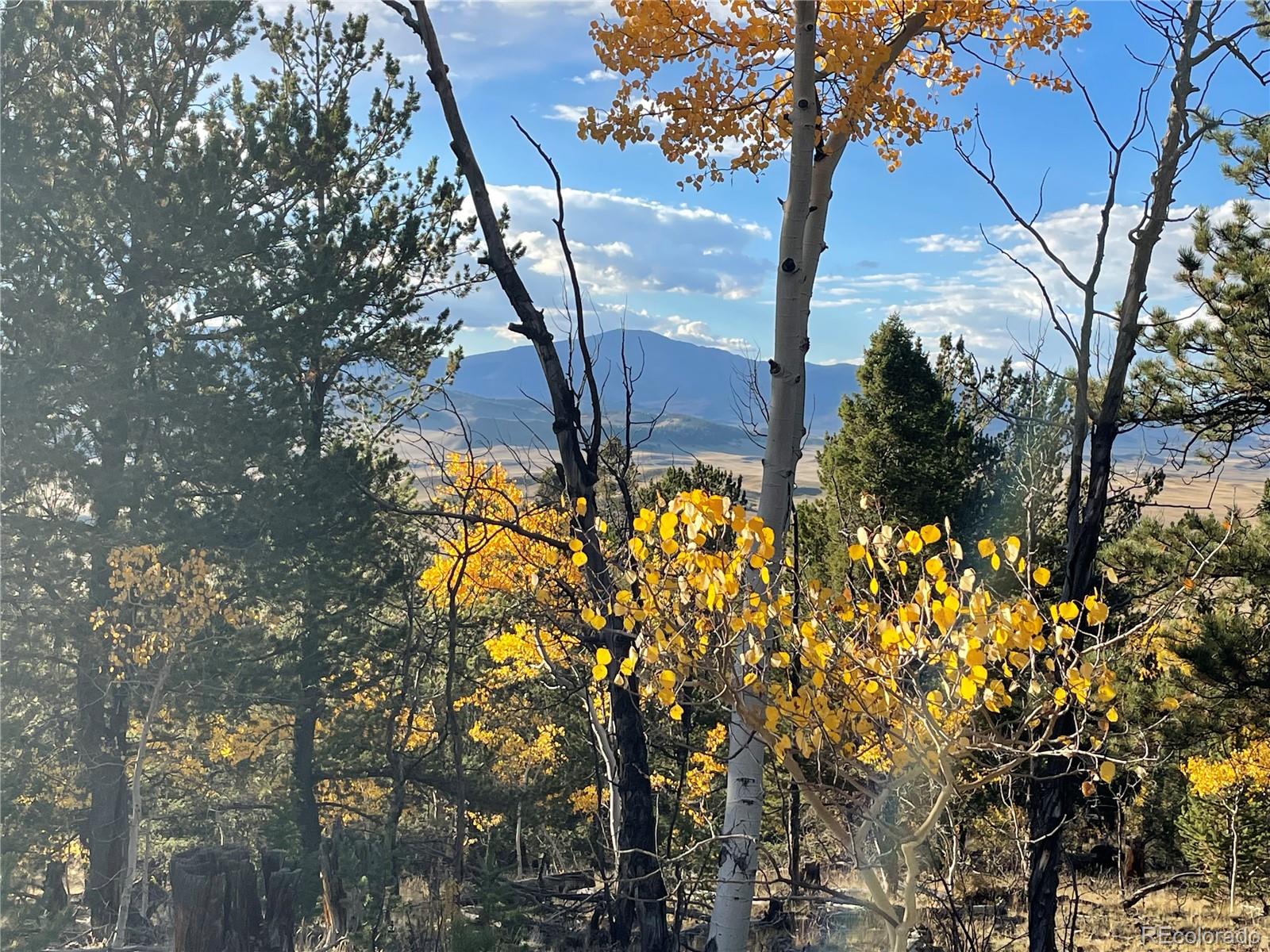 1314 Caracara Lane, Como, CO 80432, ,Land,For Sale,Caracara,REC7268221