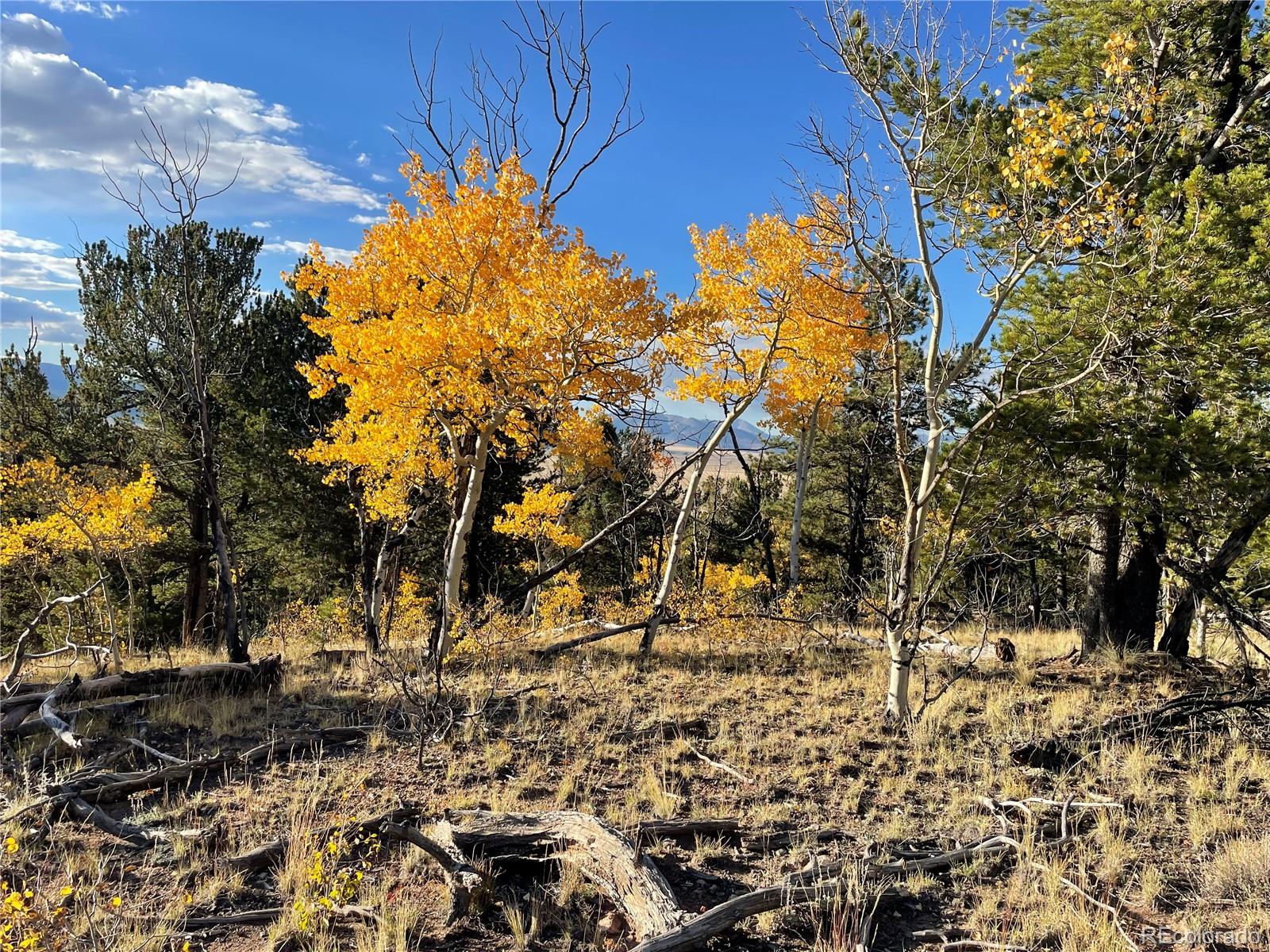 1314 Caracara Lane, Como, CO 80432, ,Land,For Sale,Caracara,REC7268221