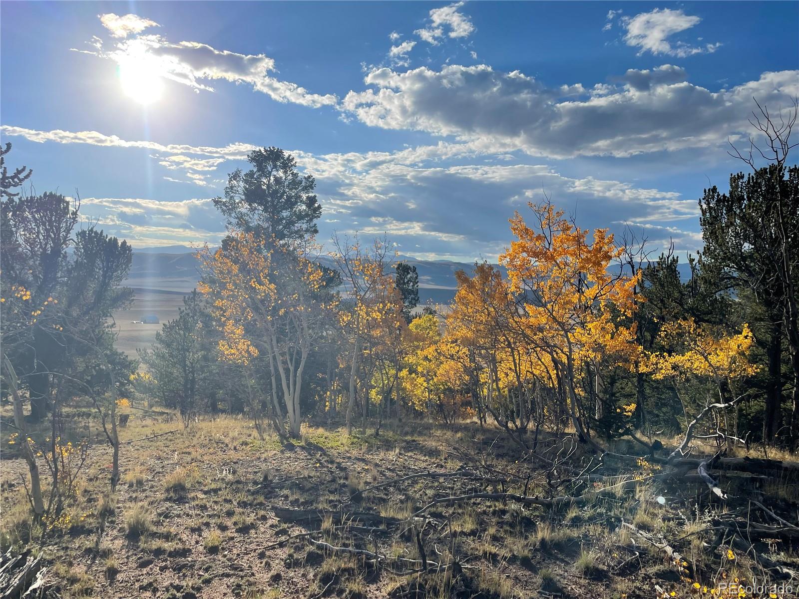 1314 Caracara Lane, Como, CO 80432, ,Land,For Sale,Caracara,REC7268221