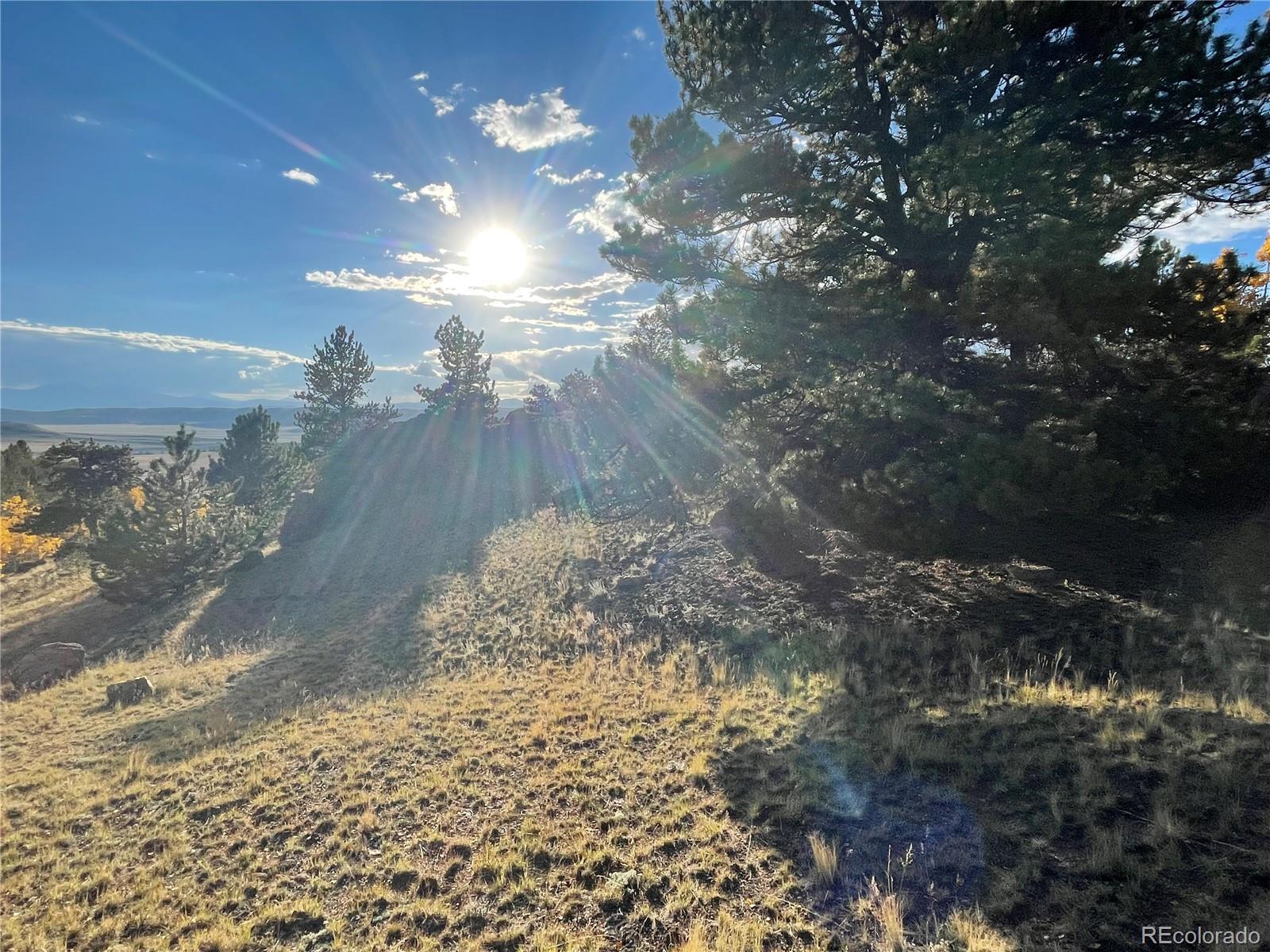 1314 Caracara Lane, Como, CO 80432, ,Land,For Sale,Caracara,REC7268221