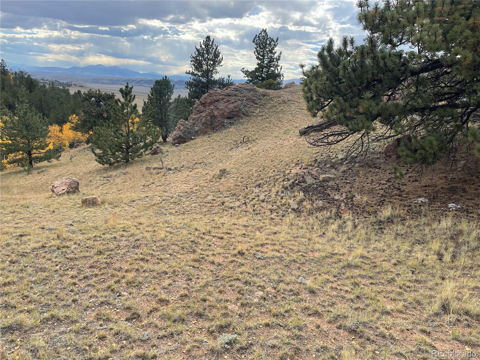 1314 Caracara Lane, Como, CO 80432, ,Land,For Sale,Caracara,REC7268221