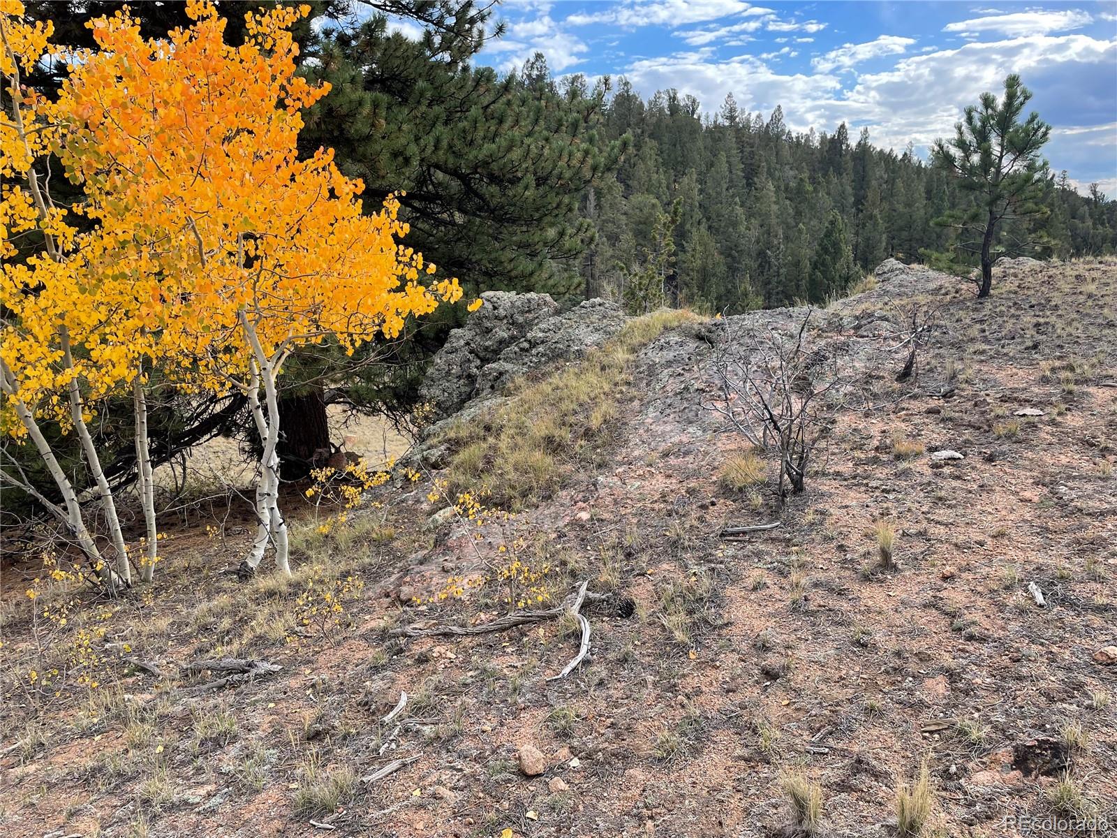 1314 Caracara Lane, Como, CO 80432, ,Land,For Sale,Caracara,REC7268221