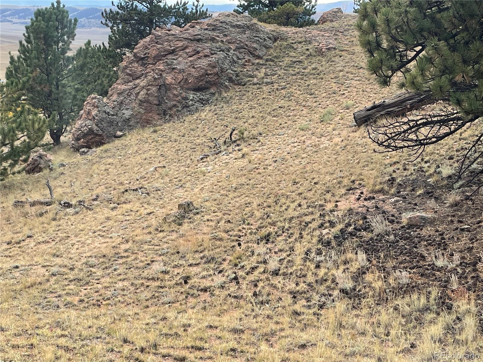 1314 Caracara Lane, Como, CO 80432, ,Land,For Sale,Caracara,REC7268221